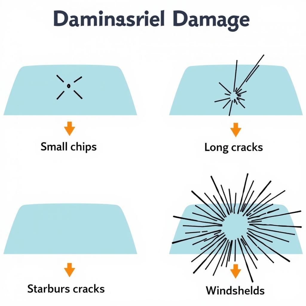 Types of Windshield Damage: Chips, Cracks, and Shatters