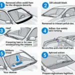 Windshield Replacement Process